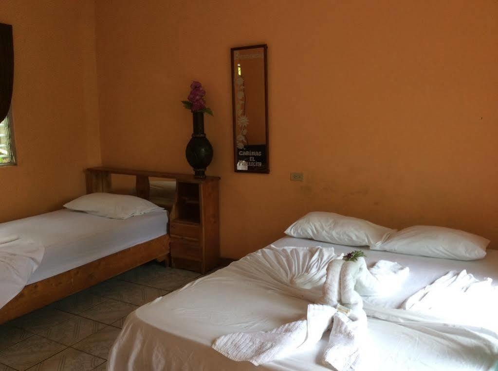 Cabinas El Muellecito Тортугеро Екстер'єр фото